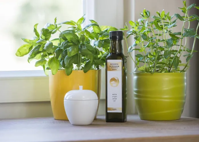 Апартаменты Rossini Superior Пореч